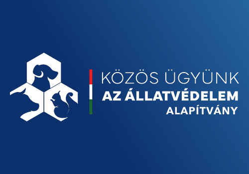 321 mentett egyed él jelenleg a Nyíregyházi Állatparkban