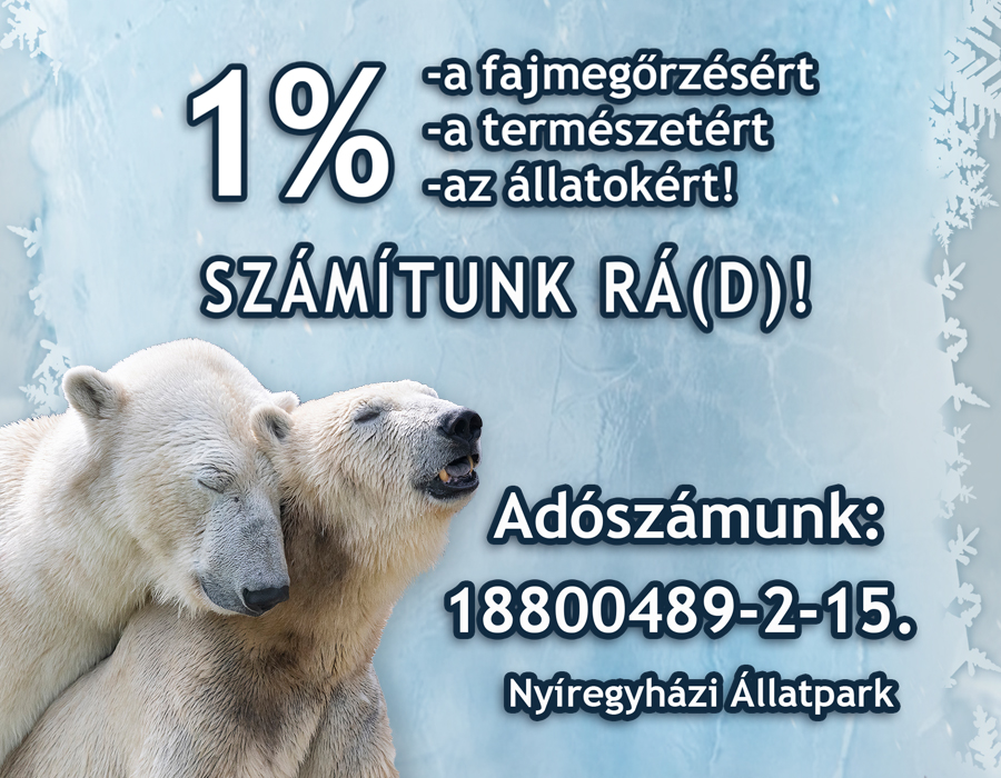Adó 1% cikk kiemelő képe