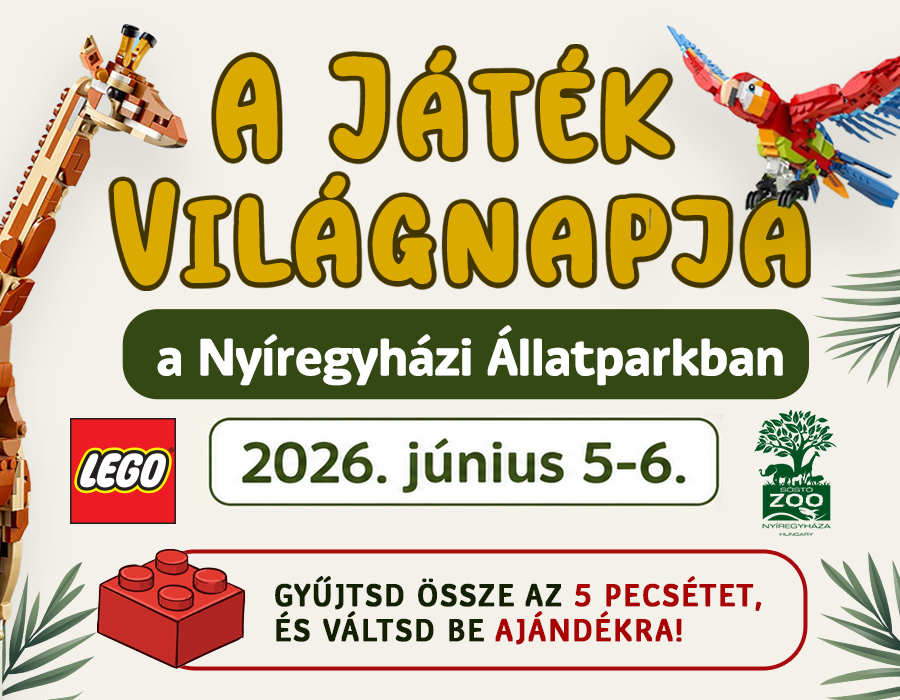 A Játék Világnapja cikk kiemelő képe