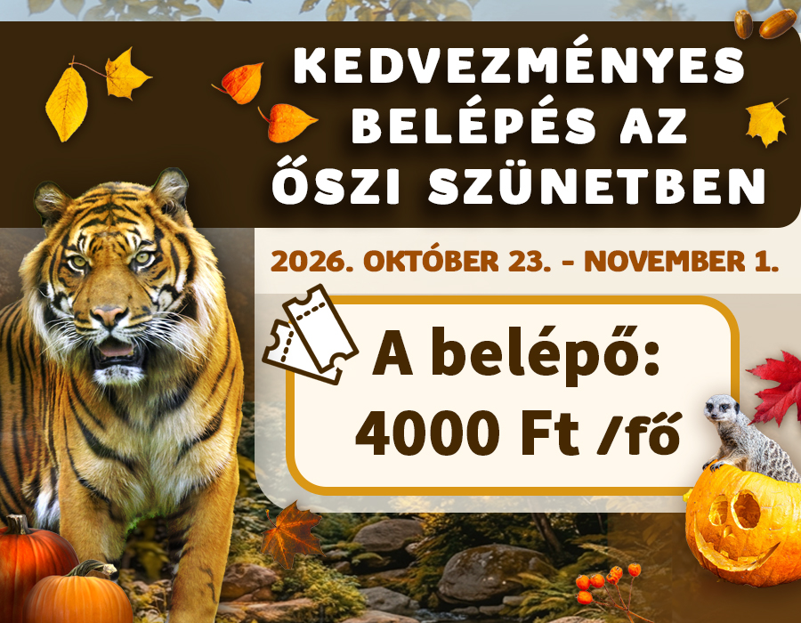 Kedvezményes belépés az őszi szünetben cikk kiemelő képe